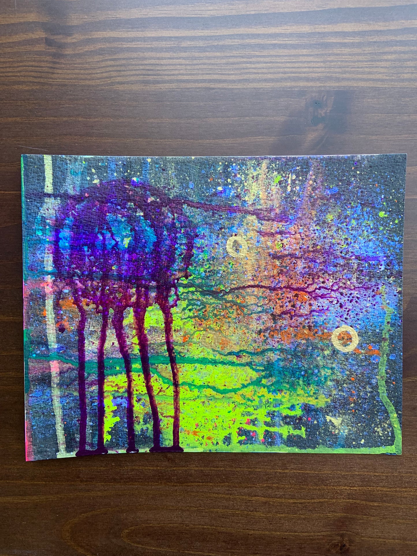Mini Galaxy 1 - 8x10